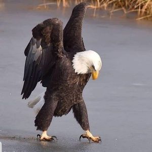 Meet your Posher, April